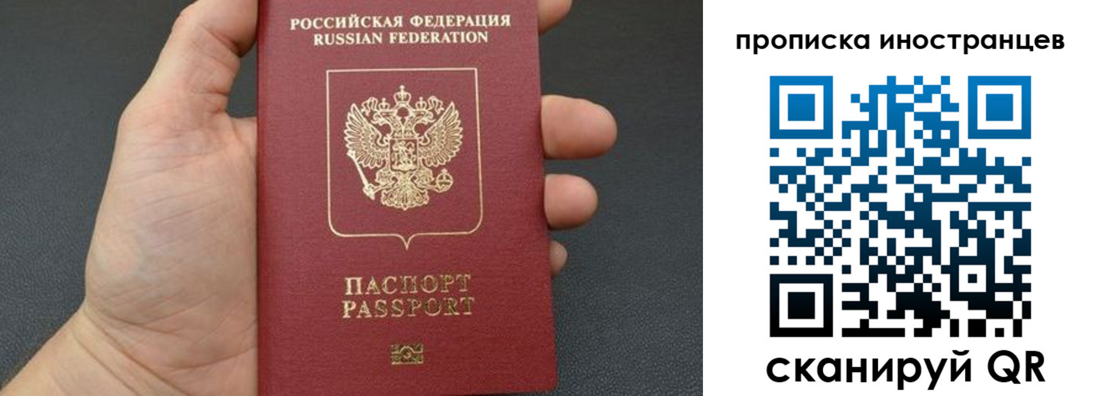 прописка ребенка в Зверево